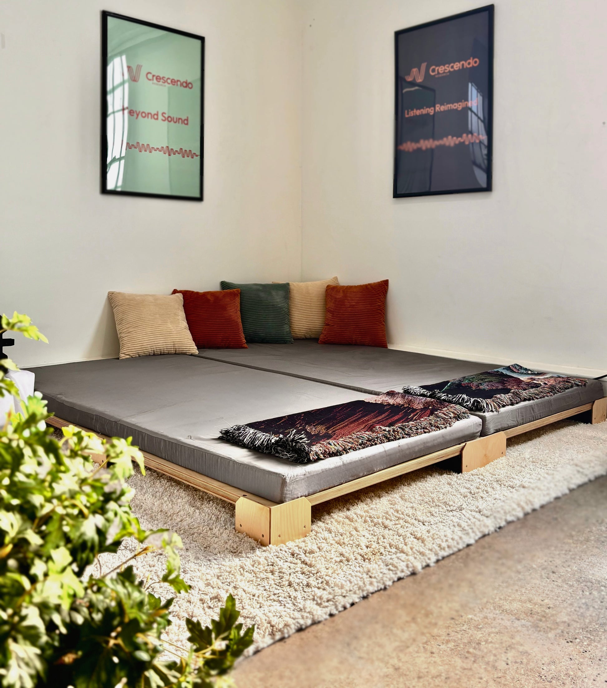 A Crescendo Bass Bed on a rug in a social space